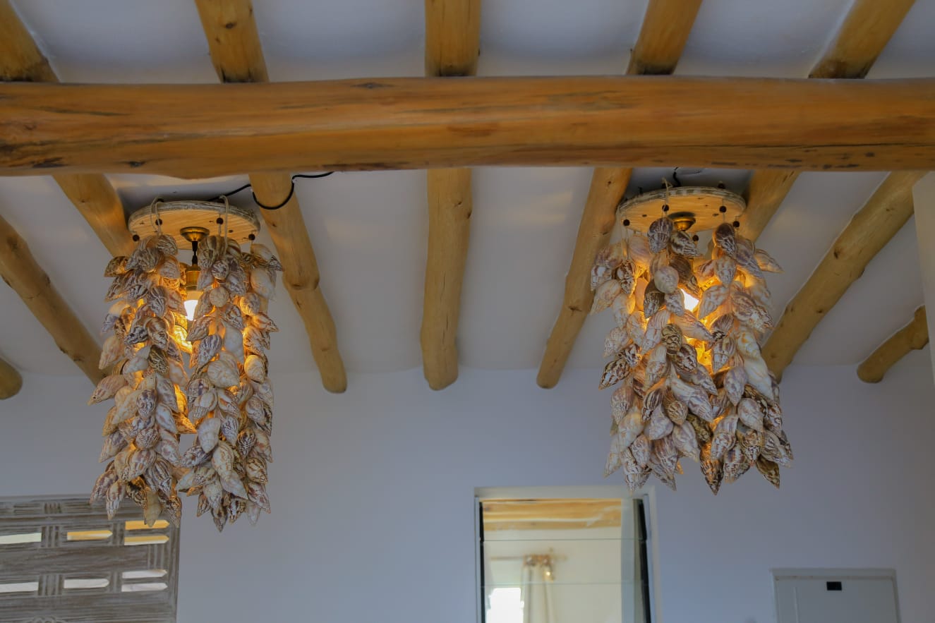 WhatsApp Image 2026-02-13 at 17.59.22