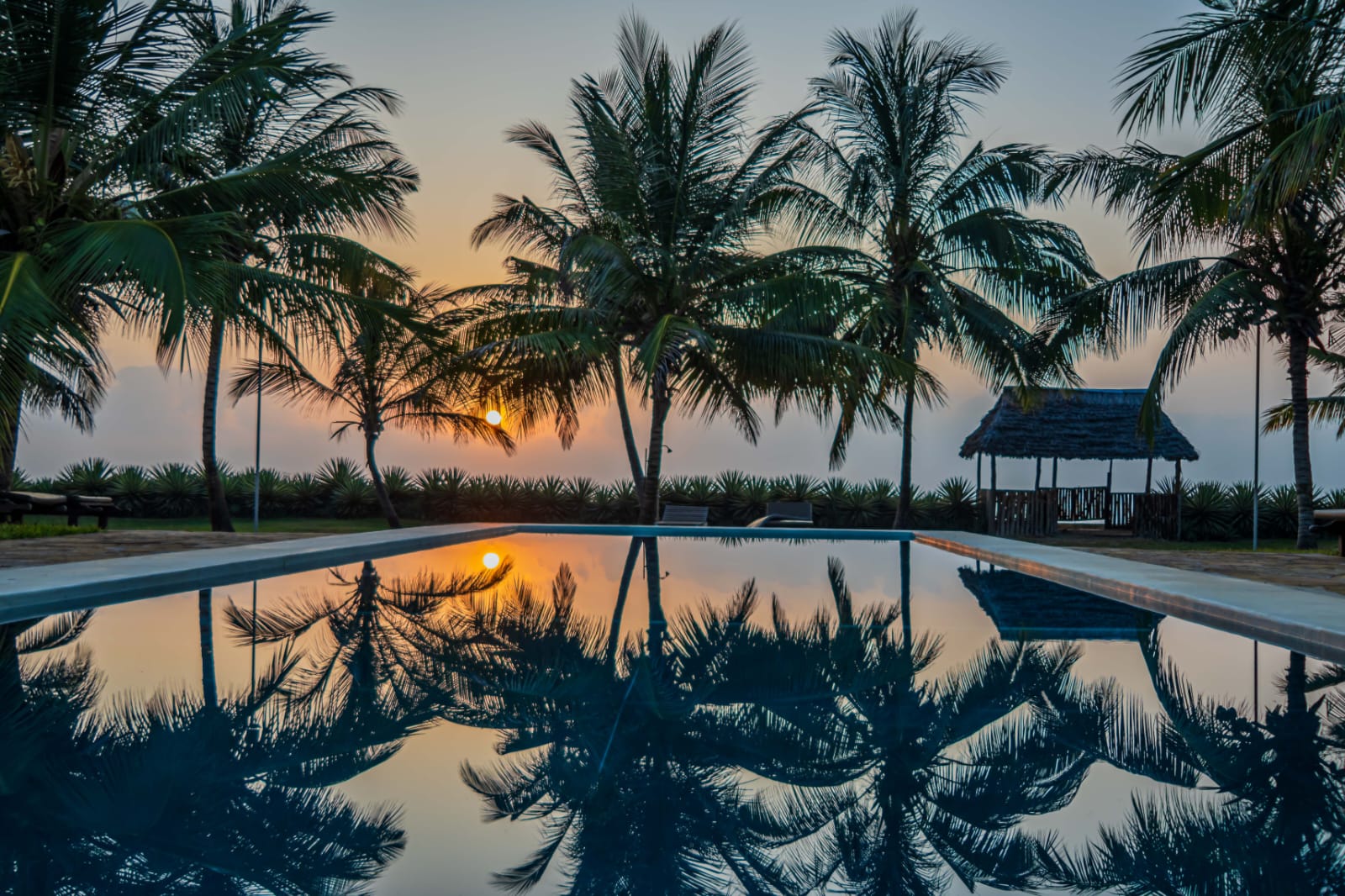 WhatsApp Image 2026-02-13 at 17.59.24 (2)